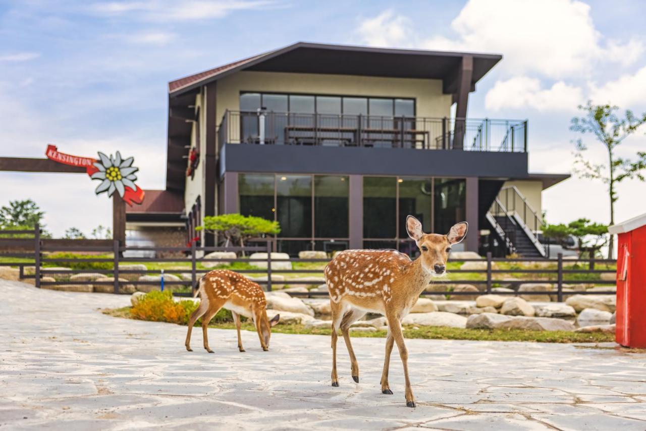 Kensington Resort Seorak Valley Sokcho Zewnętrze zdjęcie
