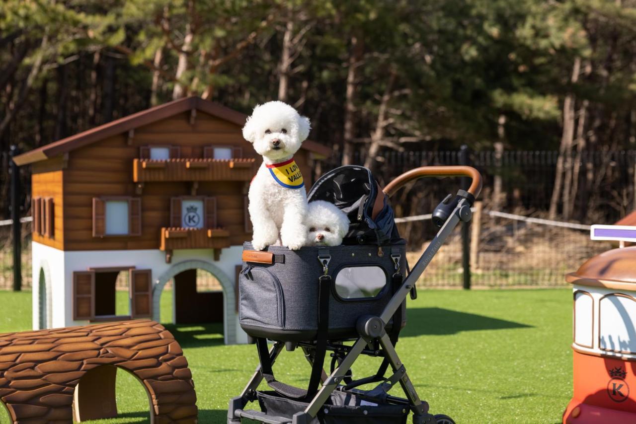 Kensington Resort Seorak Valley Sokcho Zewnętrze zdjęcie
