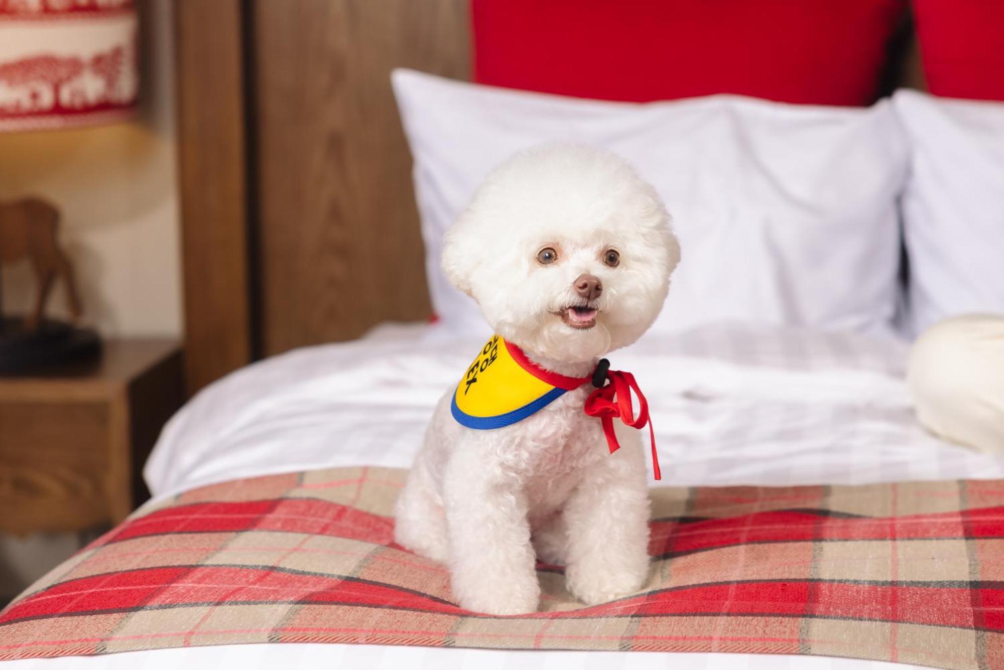 Kensington Resort Seorak Valley Sokcho Zewnętrze zdjęcie