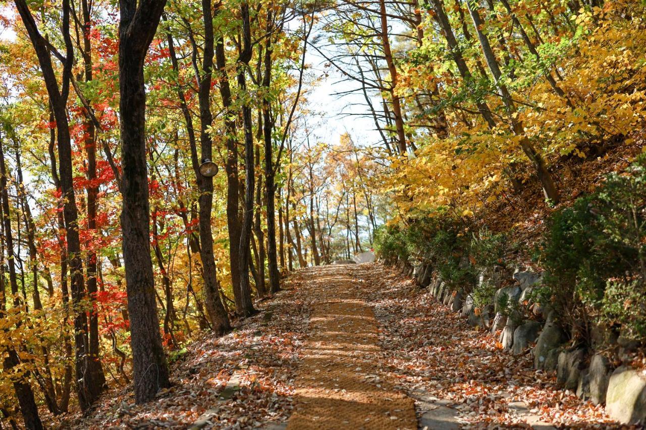 Kensington Resort Seorak Valley Sokcho Zewnętrze zdjęcie